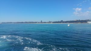 Ferry arriving in Sorrento