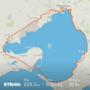 Around the Bay Strava map